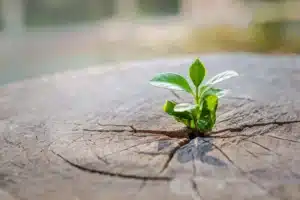 Shutterstock 1322759099
